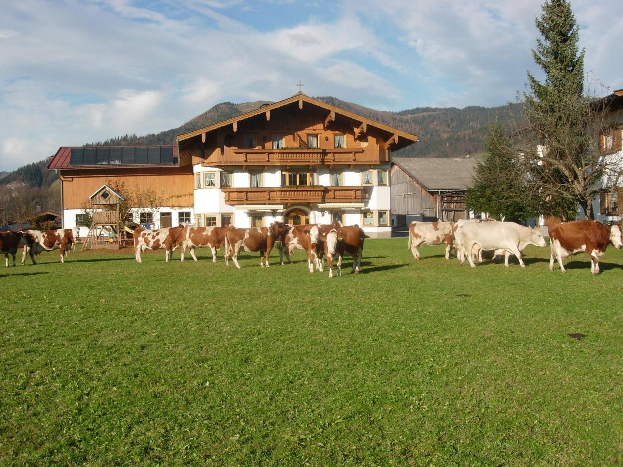 Huettschmiedhof Villa Kössen Kamer foto